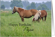 Papa Birthday, Two Horses card