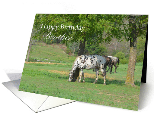Happy Birthday Brother card (1246652)