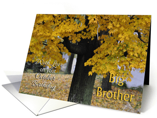 Brother October Birthday card (1246848)
