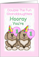 Granddaughters Twin 1st Birthday Puppies Hats Balloons card