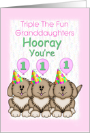 Triplet Granddaughters 1st Birthday, Puppies card