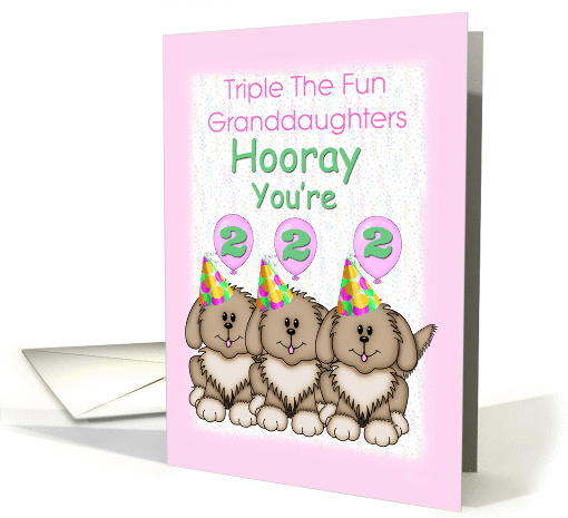 Triplet Granddaughters 2nd Birthday, Puppies card (1265344)