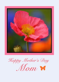 Mom, Mother's Day,...