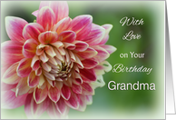 With Love Grandma Birthday, Dahlia card