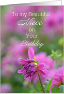 Beautiful Niece Birthday, Dahlia card