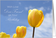 Dear Friend Birthday, Tulips card