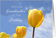 Grandmother Birthday, Tulips card