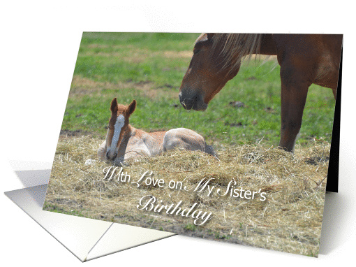 Sister's Birthday, Baby and Mother's Horse card (1307400)