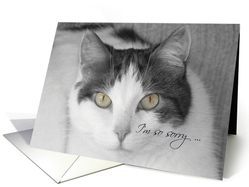 Pet Sympathy, Loss of Cat card (1310422)