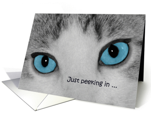 Cat Blue Eyes Birthday card (1310432)