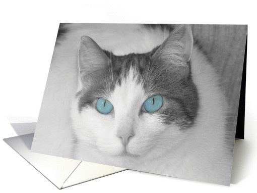 Missing You Blue Eyed Cat card (1311732)