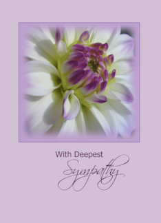 Deepest Sympathy,...