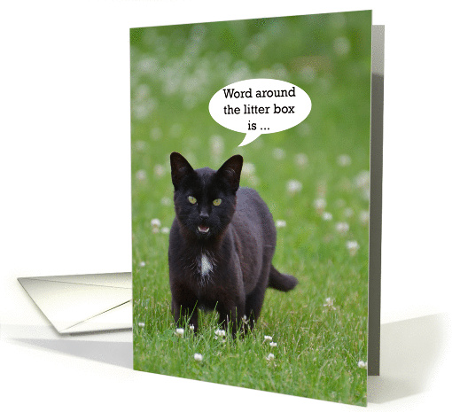 Cat Birthday Humor, Black cat card (1314926)