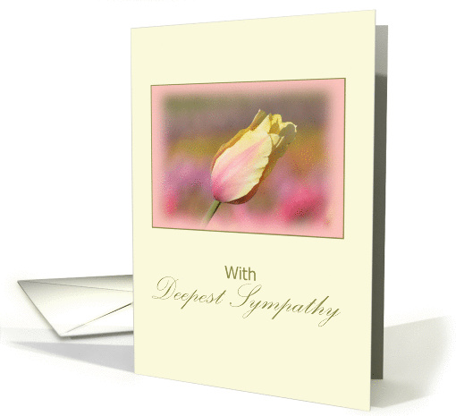 Deepest Sympathy, Suicide card (1315520)