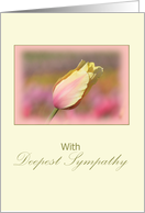 Deepest Sympathy,...