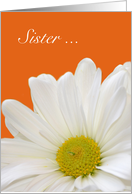 Sister Maid of Honor, white daisy with orange card