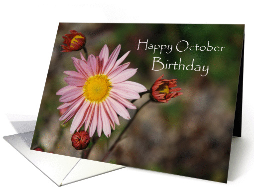 October Birthday, Pink Asters card (1319596)