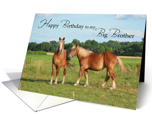 Big Brother Birthday, Horses card (1319926)