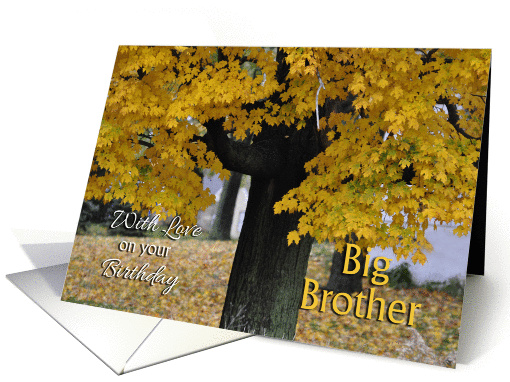 Big Brother Birthday, Fall Tree card (1319928)