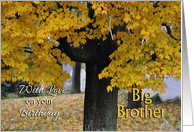 Big Brother Birthday, Fall Tree card