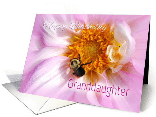 Granddaughter Happy Birthday, Flower and Bee card (1321356)