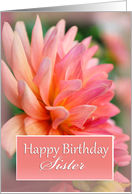 Sister Happy Birthday, Pink Dahlia card