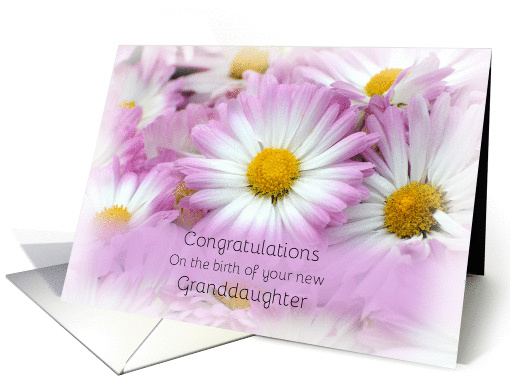 Congratulations on the birth of your new Granddaughter,... (1322706)