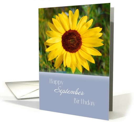 Happy September Birthday, Sunflower card (1326610)