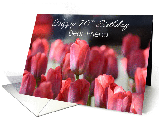 Happy 70th Birthday, Dear Friend card (1338740)