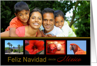 Feliz Navidad Spanish Photo Card