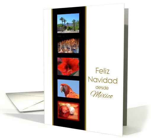 Spanish Christmas from Mexico card (1347138)