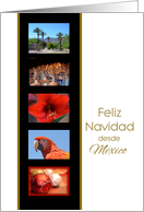 Spanish Christmas from Mexico card