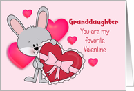 Granddaughter Bunny Favorite Valentine card