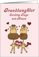 Granddaughter, Giraffes Valentine card