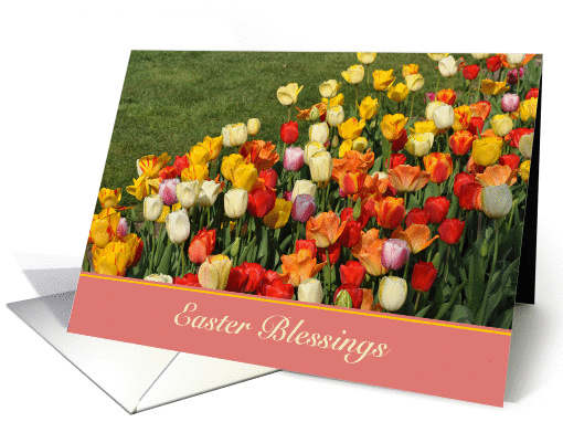 Tulip Easter Blessings card (1367066)