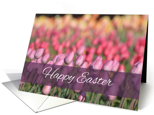 Happy Easter, Tulips card (1367372)