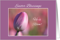 Easter Blessings, He is Risen! card