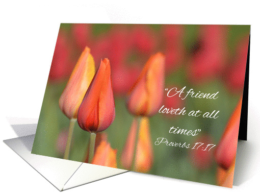 Friend, I thought of you today, Tulips card (1367966)