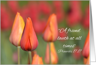 Friend, I thought of you today, Tulips card