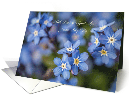 Deepest Sympathy from All of Us, blue flowers card (1369490)