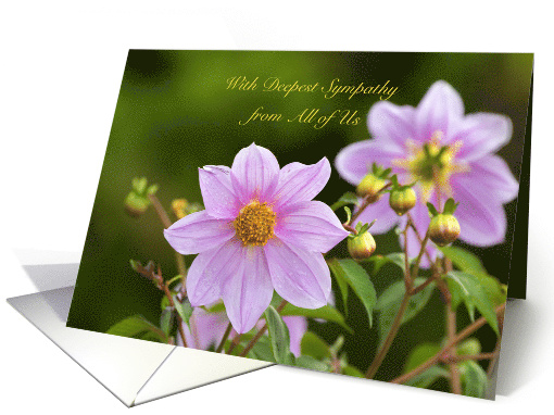 Deepest Sympathy From All of Us with purple flowers card (1369686)
