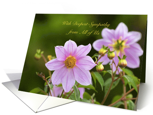 Deepest Sympathy From All of Us, purple flowers card (1369686)