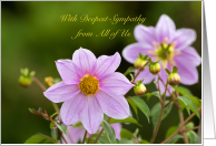 Deepest Sympathy From All of Us with purple flowers card