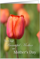 Our Beautiful Mother on Mother’s Day, Salmon Tulip card