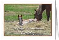 Friends Birthday, Baby and Mother’s Horse card
