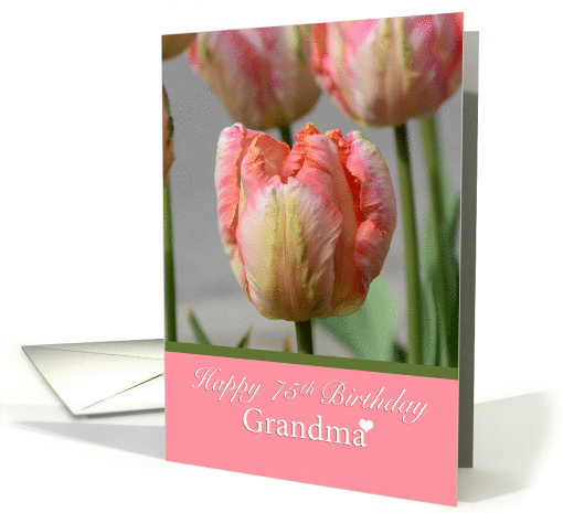 Happy 75th Birthday Grandma, Pink and yellow tulips card (1435976)