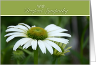 With Deepest Sympathy with white daisy with green background card