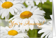 You're Amazing!...