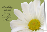 Happy Birthday Mom, White Daisy card