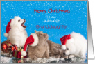 Dogs, Cat, Granddaughter, Christmas, Snow card
